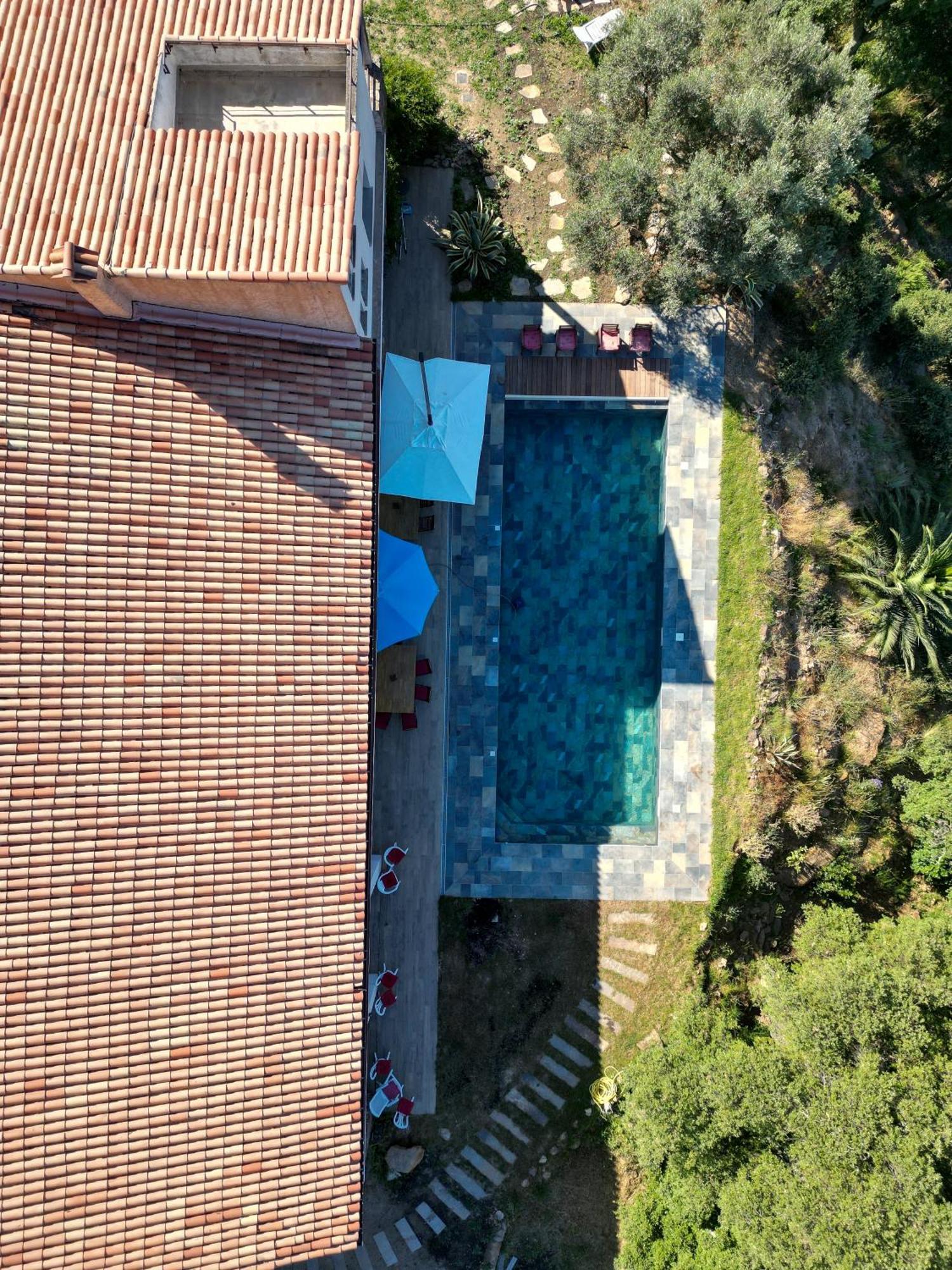 Grande Villa 750 M2 Le Mas Des Chenes ボルム・レ・ミモザ エクステリア 写真
